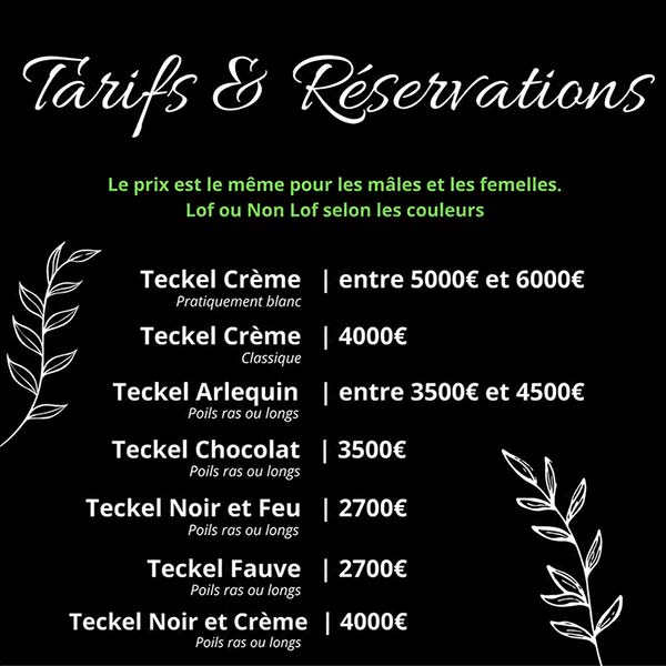 tarifs