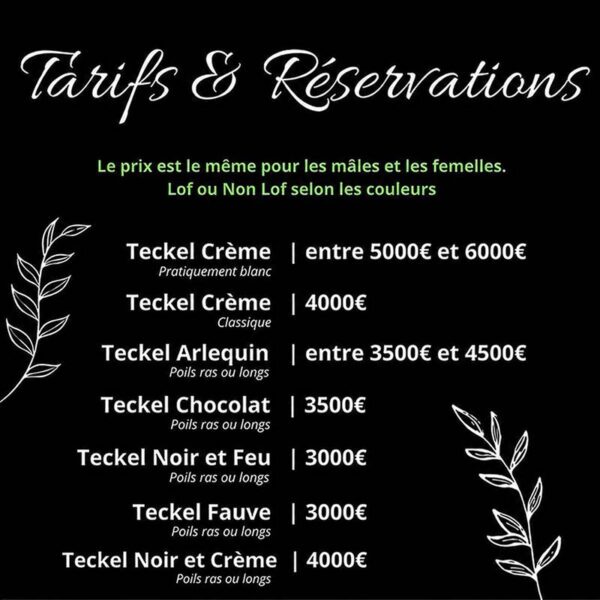 tarifs-2